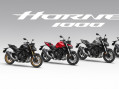 Nouveau Hornet 1000 2025